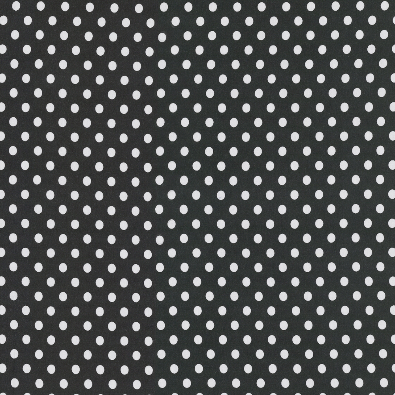 Jersey Swafing - Punkte - 1cm - Anthrazit
